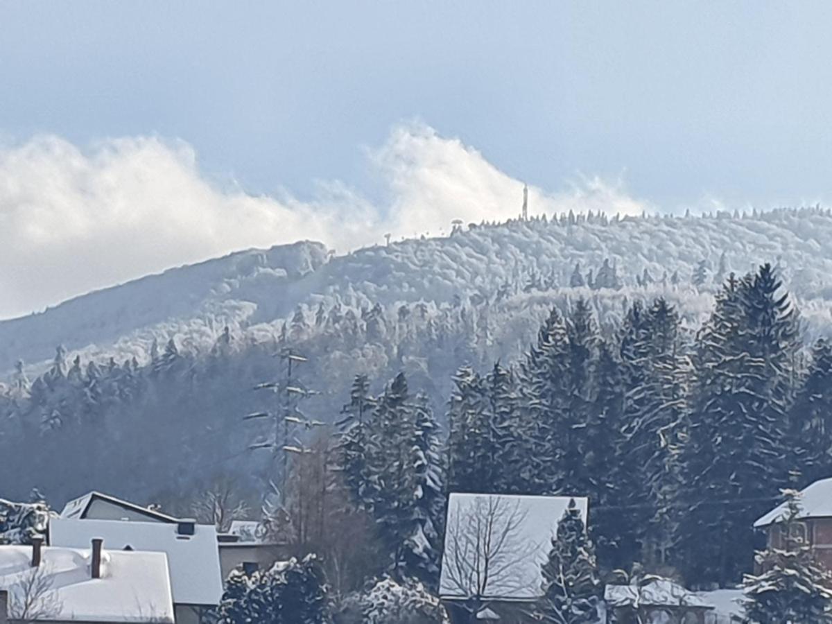Domek Pod Krolowem Ustroň Exteriér fotografie